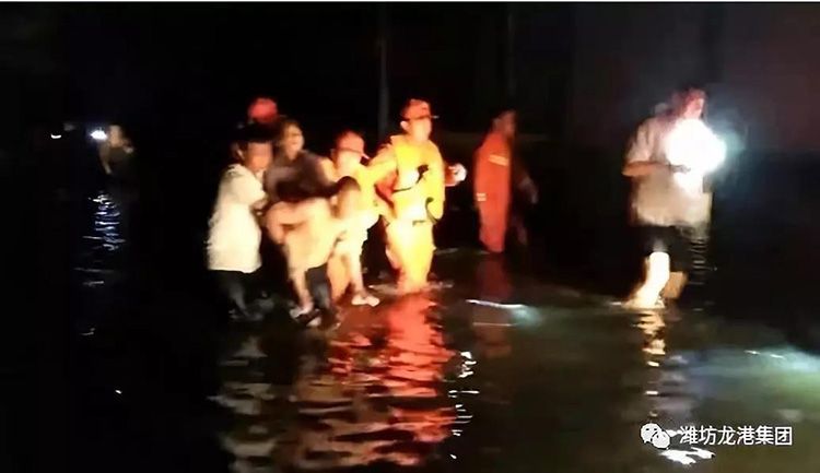 弘揚(yáng)正能量——龍港集團(tuán)員工見義勇為事跡！