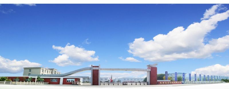 回首過(guò)去，不忘初心；展望未來(lái)，砥礪前行丨2019，龍港再出發(fā)！