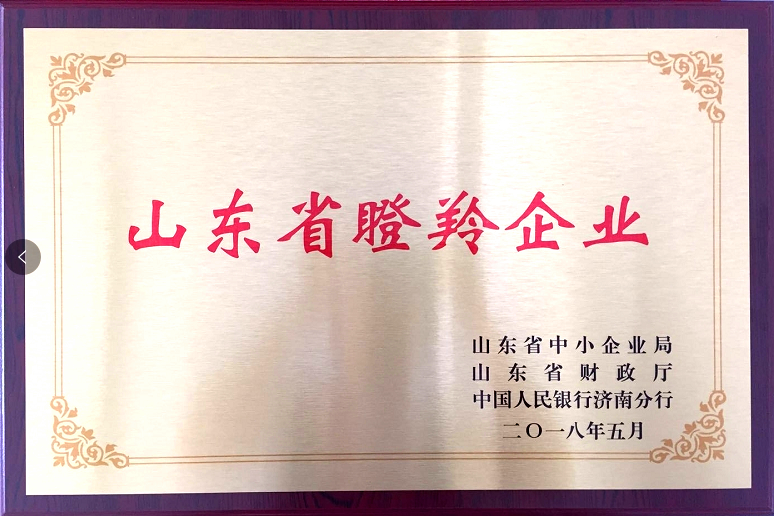回首過(guò)去，不忘初心；展望未來(lái)，砥礪前行丨2019，龍港再出發(fā)！