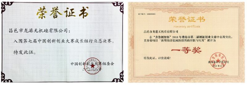 回首過(guò)去，不忘初心；展望未來(lái)，砥礪前行丨2019，龍港再出發(fā)！