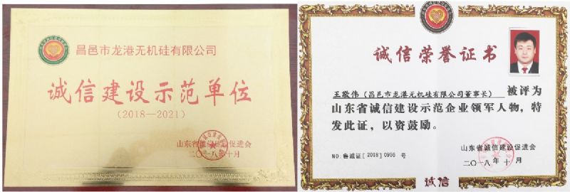 回首過(guò)去，不忘初心；展望未來(lái)，砥礪前行丨2019，龍港再出發(fā)！