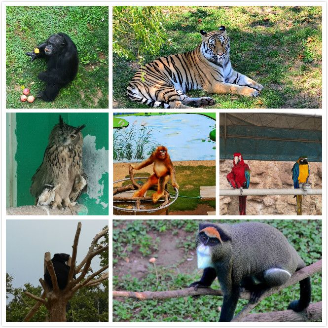 重溫歷史、不忘初心，走進(jìn)自然、愛護(hù)環(huán)境——2019年龍港集團(tuán)員工福利旅游活動(dòng)成功開展！