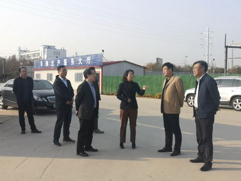 市委常委、組織部部長胡筱芹陪同中汽中心專家到龍港汽車城進行調(diào)研