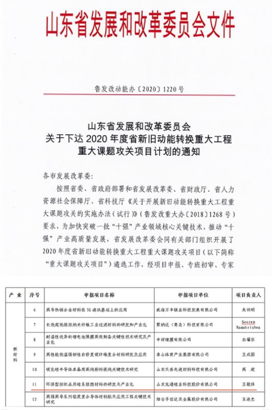 律回春暉漸 萬(wàn)象始更新—龍港阻燃材料入選省新材料創(chuàng)新應(yīng)用示范項(xiàng)目！